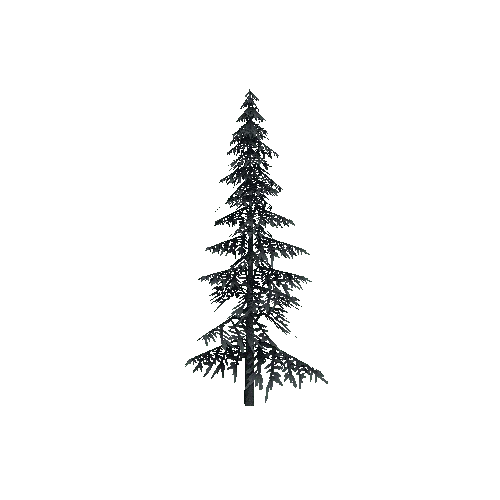 ConiferTreeSmall02LOD2 (TVE Backup)